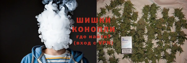гашик Алзамай