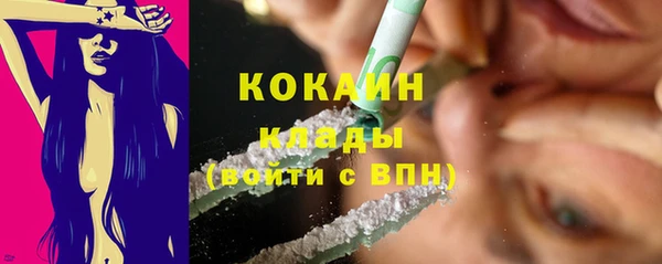 хмурый Абаза