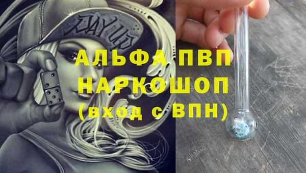 крисы Медвежьегорск