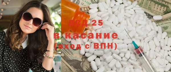 хмурый Абаза